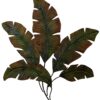 35 Inch Tropical Metal Palm Leaf Wall Mount Accent Decor, Brushed Green, Antique Yellow, Black