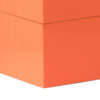 Neo 14, 11 Inch Set of 2 Decorative Boxes, Geometric Metal Accents, Orange