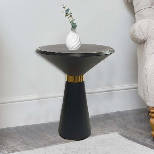 22 Inch Round Mango Wood Side Table, Smooth Brass Accents, Black Finish