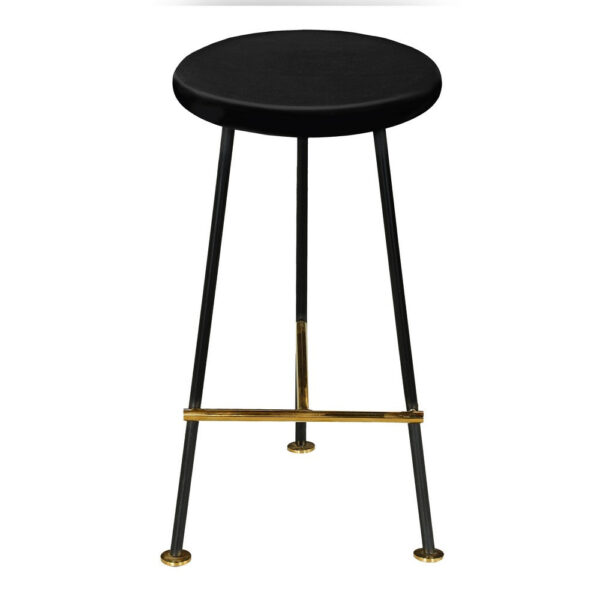 Elira 24 Inch Backless Counter Barstool with Round Mango Wood Seat | Black Iron Legs | Gold Footrest