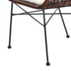 25 Inch Palapa Side Chair, Cushion, Rattan Cane, Iron Legs, White, Black