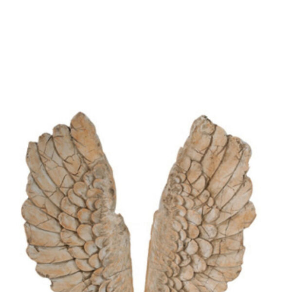 Angel Wings Statue Wall Art, Set of 2, Brown