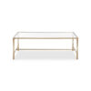 Ova Coffee Table, 47 Inch Rectangular Glass Top, Antique Gold Iron