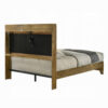 13022026698f0a167a960.jpeg Gary Queen Size Bed with Tufted Headboard and USB Ports, Aspen Brown Wood