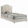 Rex Twin Size Bed with Storage and Beige Button Tufted Arched Headboard