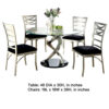 Roxe 5pc Dining Set, Glass Table, 4 Ladderback Chairs, Silver-Black