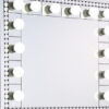 Rose 32 Inch Vanity Lighted Wall Mirror, 11 Bulbs, Faux Diamond, Silver