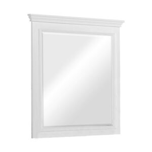 Contemporary Style Wood Rectangular Mirror, White