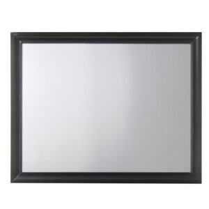Contemporary Style Wooden Mirror with Raised Frame, Black