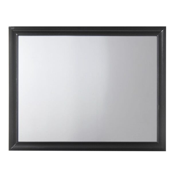 Contemporary Style Wooden Mirror with Raised Frame, Black