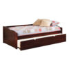 Transitional Wooden Trundle Bed with Bottom Pull Out Bedding, Brown