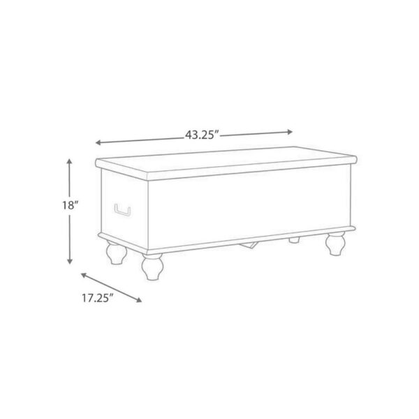 Medallion Pattern Wooden Storage Bench, Hinged Opening, Antique White, Black