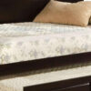 Traditional Style Wooden Daybed with Trundle, Brown