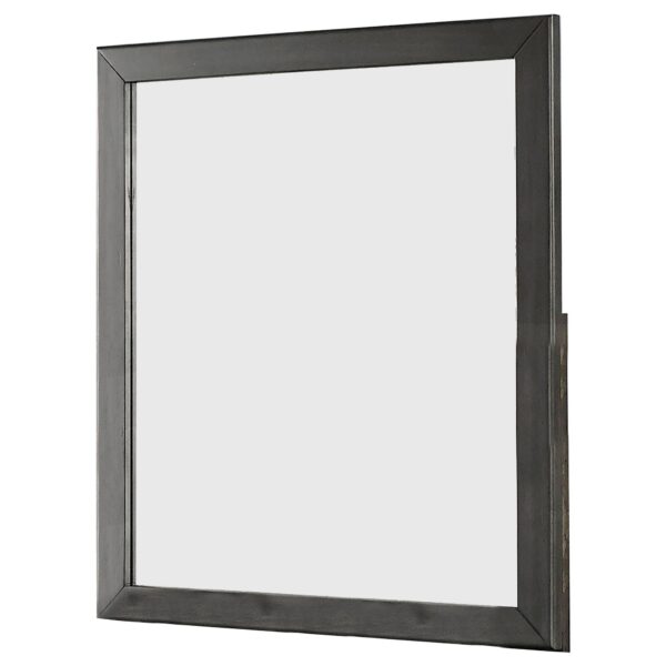 32 Inch Transitional Style Wooden Frame Mirror, Gray