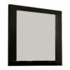 Cari 37 Inch Rectangular Mirror with Wooden Frame, Black