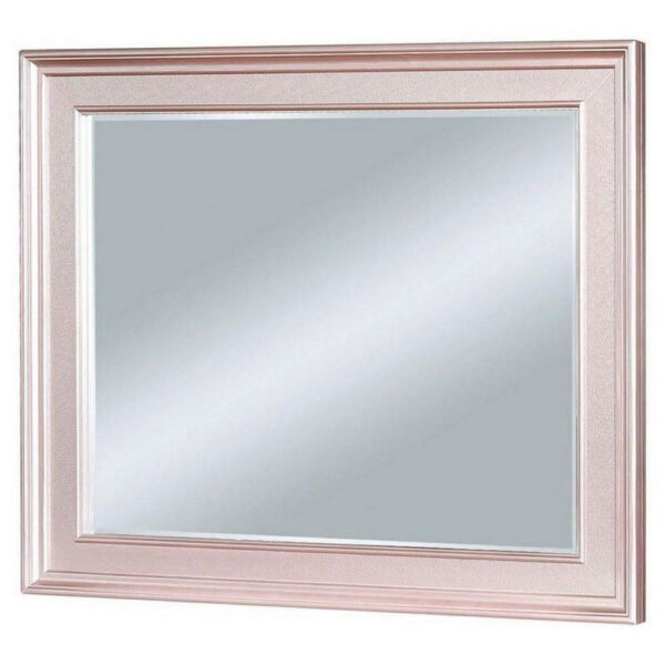 64 Inch Contemporary Style Wooden Frame Mirror, Rose Pink