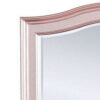46 Inch Contemporary Style Wooden Frame Mirror, Rose Pink