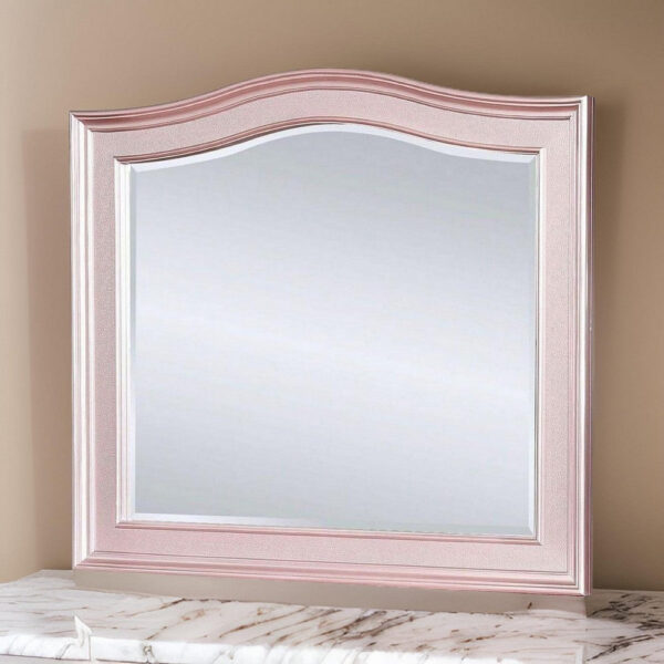 46 Inch Contemporary Style Wooden Frame Mirror, Rose Pink