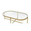 Coffee Table with Oblong Glass Top and Metal Frame, Gold