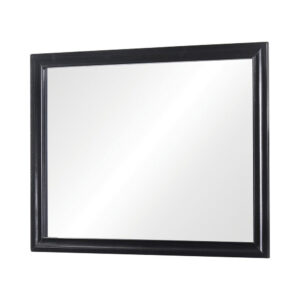 47 Inch Wood Mirror, Landscape Frame, Classic, Black