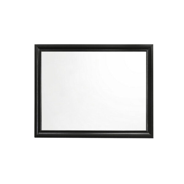47 Inch Wood Mirror, Landscape Frame, Classic, Black