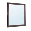 Bran 36 x 36 Square Dresser Mirror, Pine Wood, Grain Details, Cherry Brown