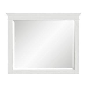 Candy 43 Inch Classic Accent Mirror, Rustic Minimalist Design, Crisp White