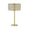Dany 28 Inch Table Lamp with Crystal Drum Shade, Gold Brass Metal Base
