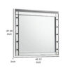 Lee 37 x 40 Vanity Mirror, 10 Light Bulb Sockets, Modern Silver Wood Frame