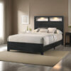 150220266991a8c5a2e0e.jpeg Yoh Queen Size Bed, Wood, Headboard with Lights and Shelves, Black
