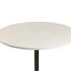 Mari 36 Inch Counter Height Table, White Round Top and Stainless Steel Base