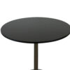 Mari 36 Inch Dining Table, Smooth Black Round Top and Stainless Steel Base