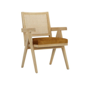 150220266991b693e4fbc.jpeg Isha 24 Inch Armchair with Cane Back, Gold Brown Velvet, Brown Wood Frame