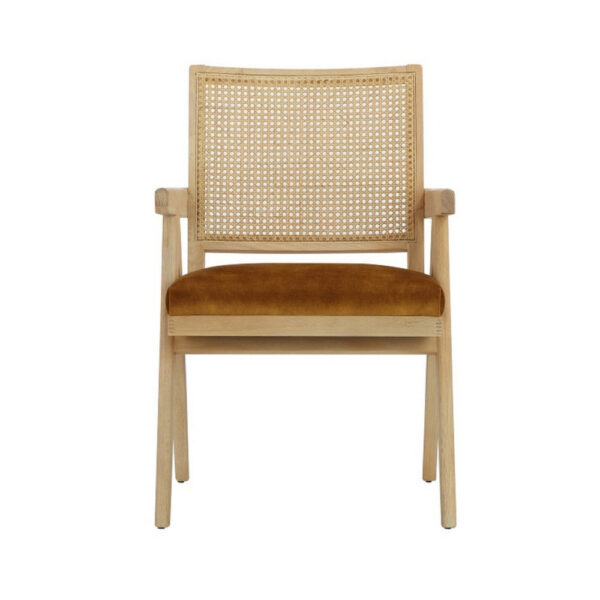 Isha 24 Inch Armchair with Cane Back, Gold Brown Velvet, Brown Wood Frame