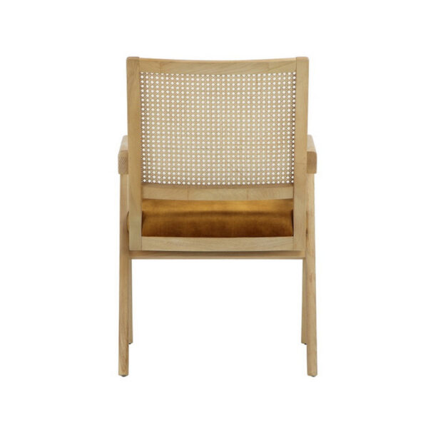 Isha 24 Inch Armchair with Cane Back, Gold Brown Velvet, Brown Wood Frame