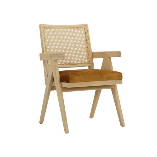 Isha 24 Inch Armchair with Cane Back, Gold Brown Velvet, Brown Wood Frame
