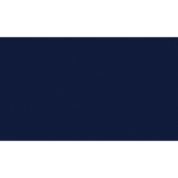 150220266991b7ef38501.jpeg Ziva Daybed with Lift Up Trundle, Navy Blue Metal Frame, Folding Legs