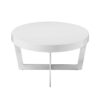 Tini 55 Inch Coffee Table, Oval Shaped Top, Metal Frame, White Finish