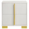 Dex 22 Inch Nightstand, 2 Drawers with Long Vertical Gold Handles, White