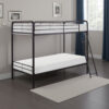 Tara 79 Inch Twin Bunk Bed, Sleek Metal Frame with Ladder in Dark Bronze