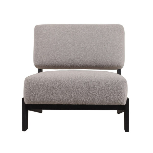 150220266991dd6fdd1f9.jpeg Cid Joy 30 Inch Accent Chair, Low Profile, Light Gray Velvet, Wood Frame