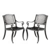 Cay Outdoor Dining Chair Set of 2, Mesh Style Back, Black Cast Aluminium