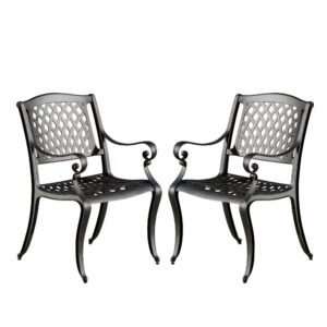 150220266991e5c54bceb.jpeg Cay Outdoor Dining Chair Set of 2, Mesh Style Back, Black Cast Aluminium
