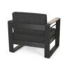Accent Club Chair, Slat Panel Design, Modern Open Back, Aluminum Black Wood