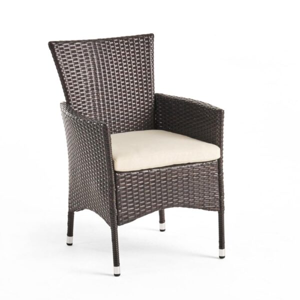 Clem Dining Chair Set of 2, Beige, Outdoor Dark Brown Wicker, Iron Frame