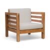Carie Outdoor Accent Chair, Beige, Soft Cushions, Brown Acacia Wood