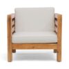Carie Outdoor Accent Chair, Beige, Soft Cushions, Brown Acacia Wood