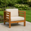 Carie Outdoor Accent Chair, Beige, Soft Cushions, Brown Acacia Wood