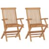 Folding Outdoor Chair Set of 2, Brown Solid Teak Wood, Slatted Back