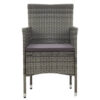 Gil Outdoor Dining Chair Set of 2, Gray Cushions and Poly Rattan